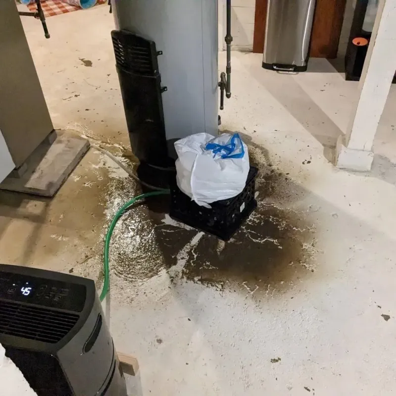 Sewage Backup Cleanup Service in Soap Lake, WA